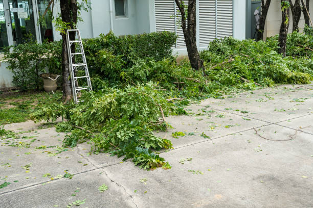 Best Leaf Removal  in Princeton, FL